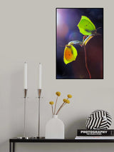 Cleopatra pair Poster och Canvastavla