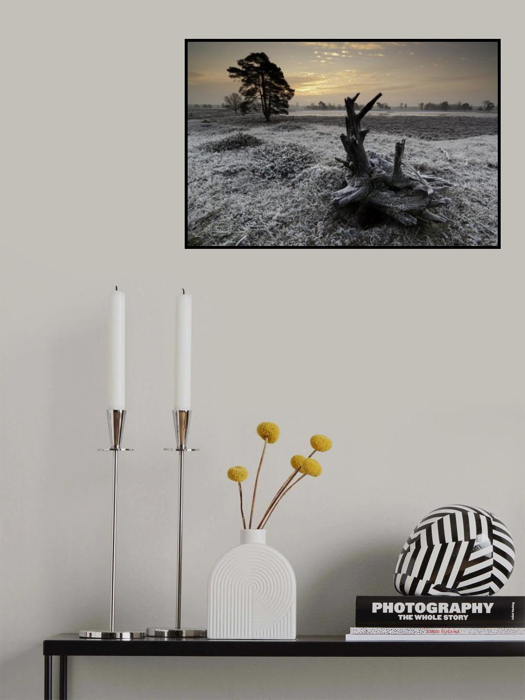 Early Frost Poster och Canvastavla