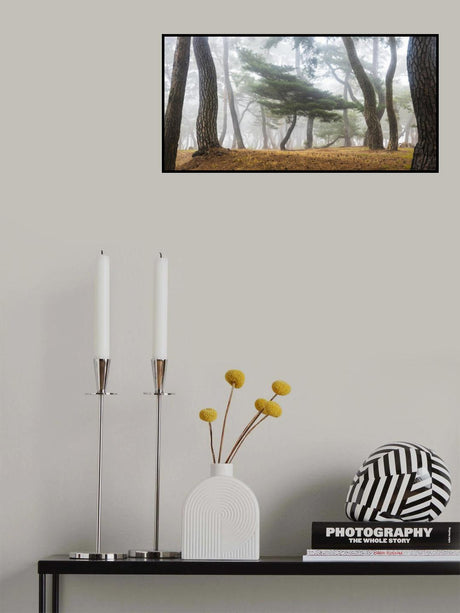 In The Misty Pine Forest Poster och Canvastavla