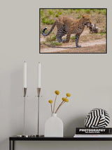 The Hunt Poster och Canvastavla