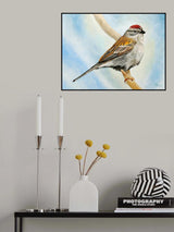 Chiping Sparrow Poster och Canvastavla