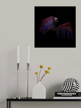 Persian dancer Poster och Canvastavla