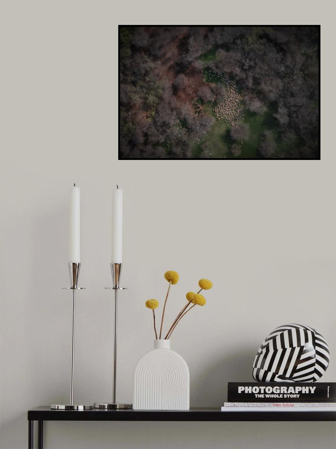 Flamingos Poster och Canvastavla