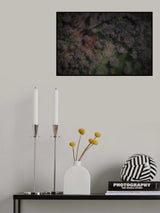 Flamingos Poster och Canvastavla