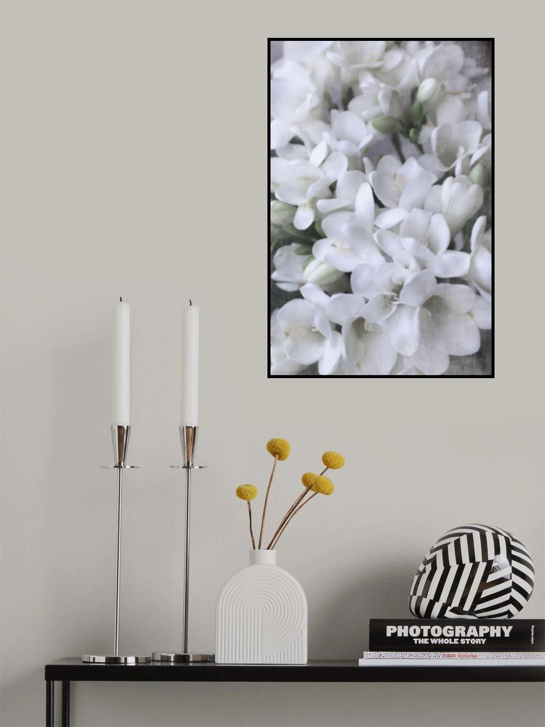 Distressed freesias IV Poster och Canvastavla
