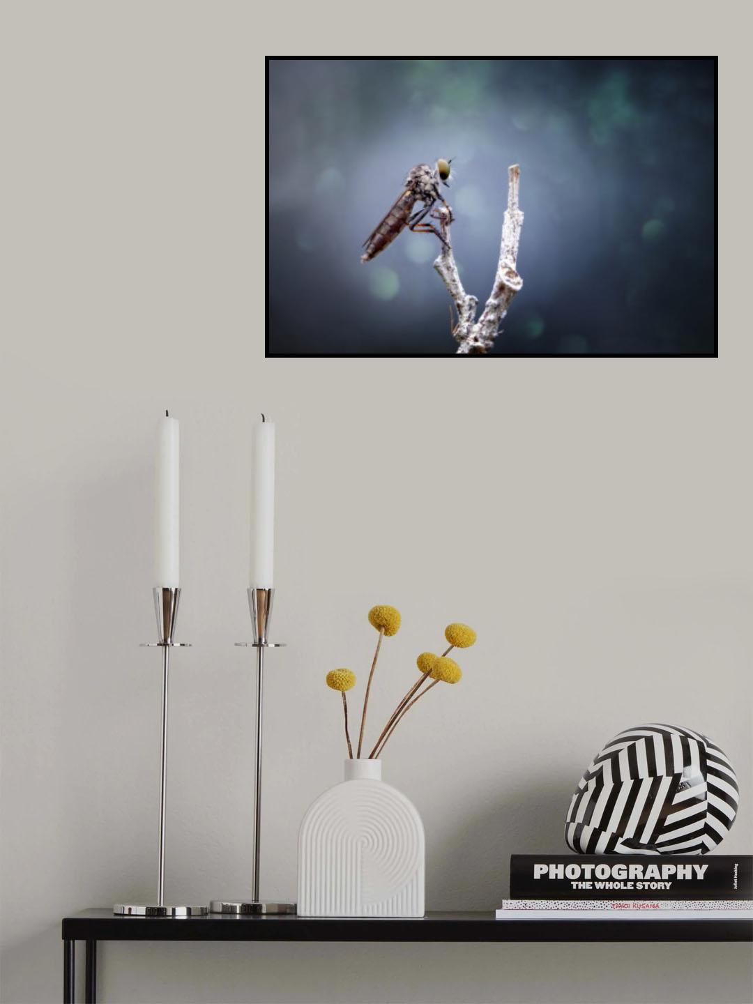 Lonely Mini Asilidae Poster och Canvastavla