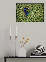 Sleep over the watermelons Poster och Canvastavla