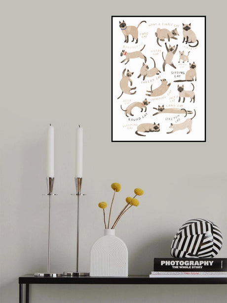 Siamese Cat Print Poster och Canvastavla