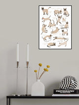 Siamese Cat Print Poster och Canvastavla