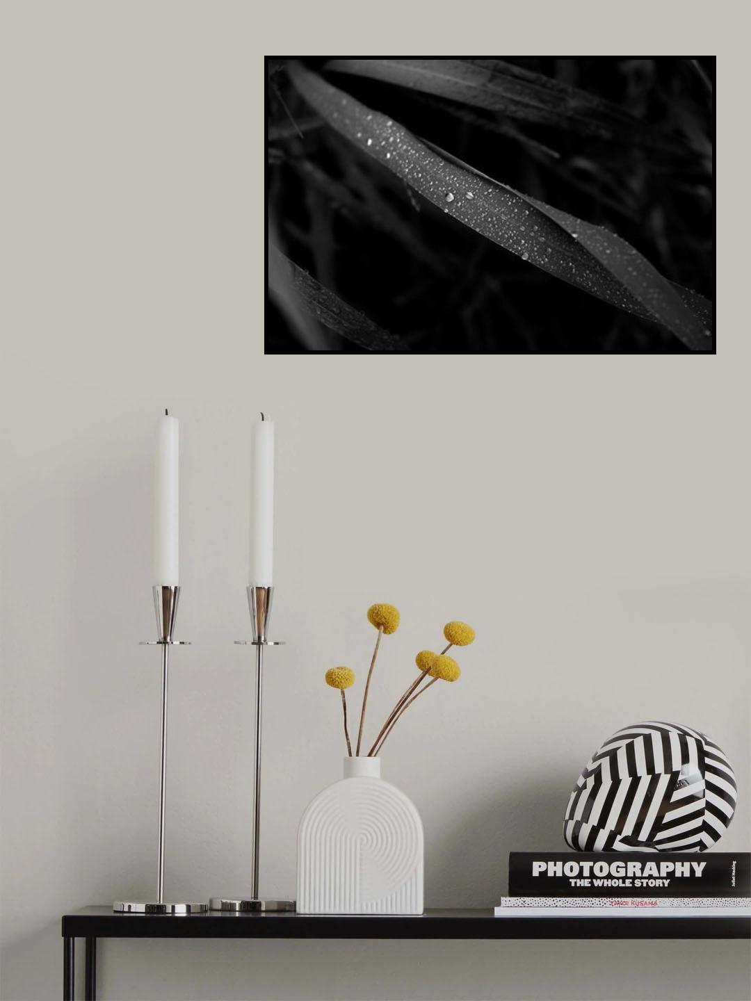 L1032940 Poster och Canvastavla