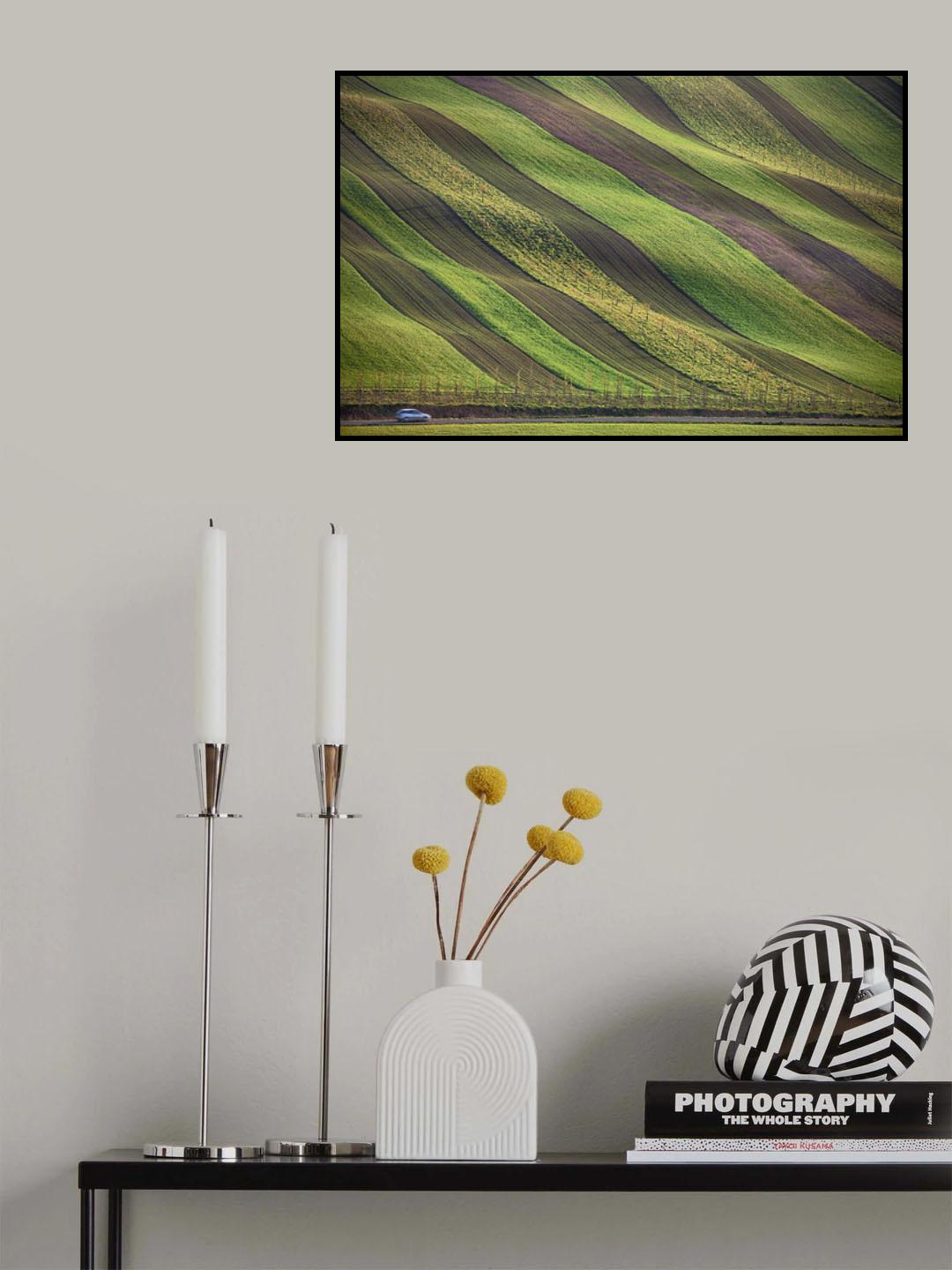Stripes in the fields Poster och Canvastavla