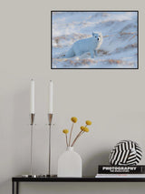 Arctic fox Poster och Canvastavla