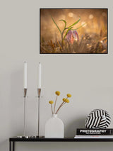 Swamp tulip Poster och Canvastavla