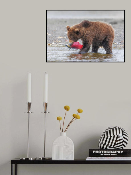 Baby Bear and Its's Catch Poster och Canvastavla