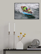 Big Chicken, Little Daredevil Poster och Canvastavla