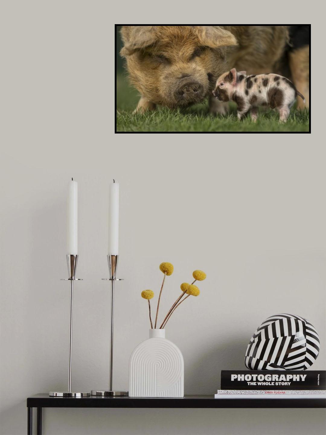 Hi, little one..... Poster och Canvastavla
