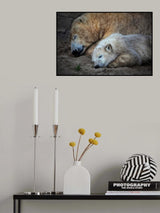 HER CUTENESS, togetherness ... Poster och Canvastavla