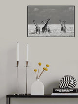 Look Girl Strange Animals Poster och Canvastavla