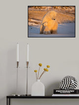The bear &amp; the dog Poster och Canvastavla