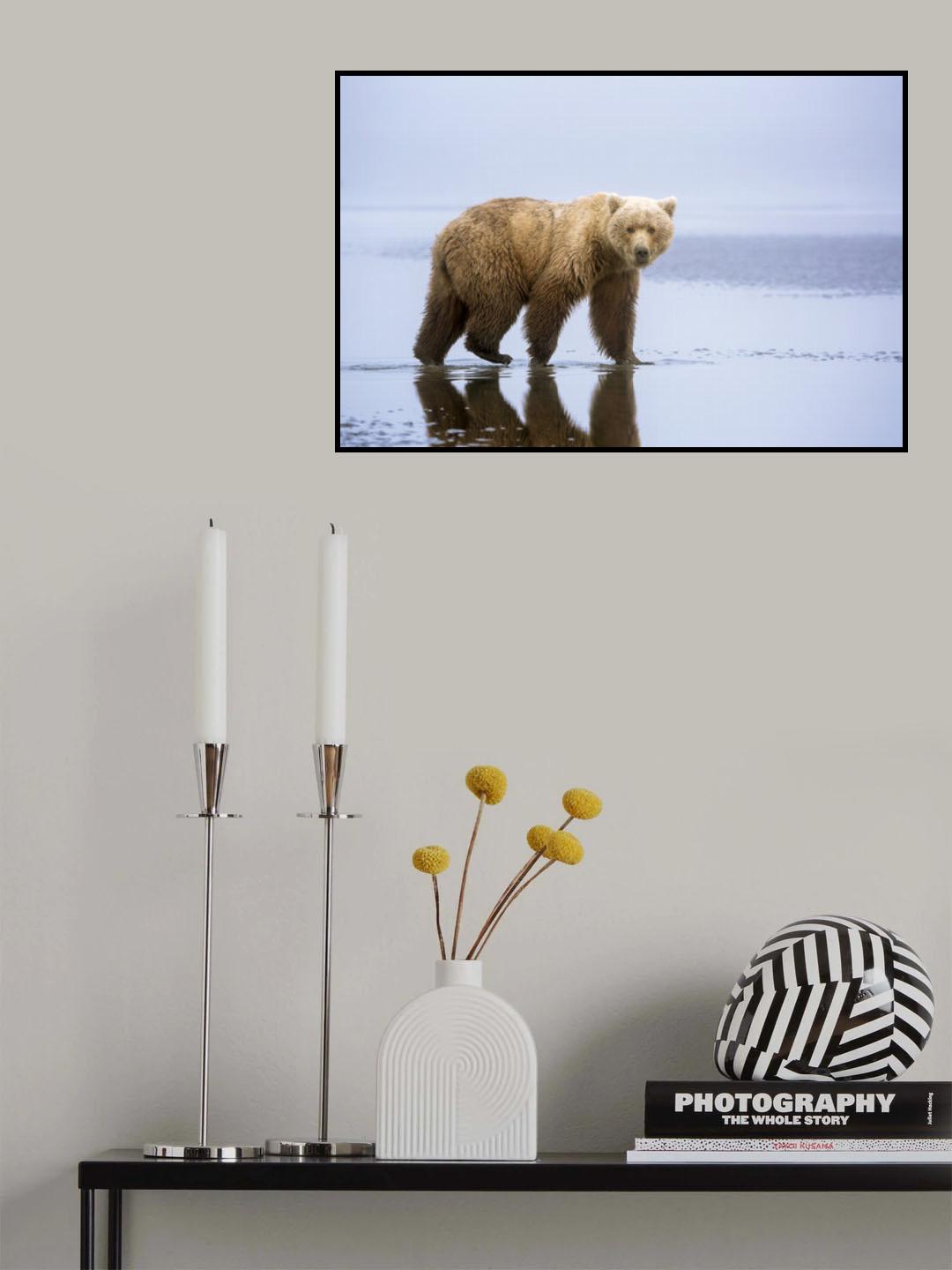 The Bear Walk Poster och Canvastavla