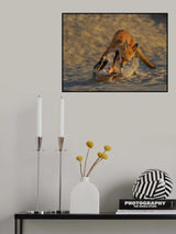 Sand Fox Fun Poster och Canvastavla