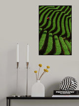 Working in nature Poster och Canvastavla