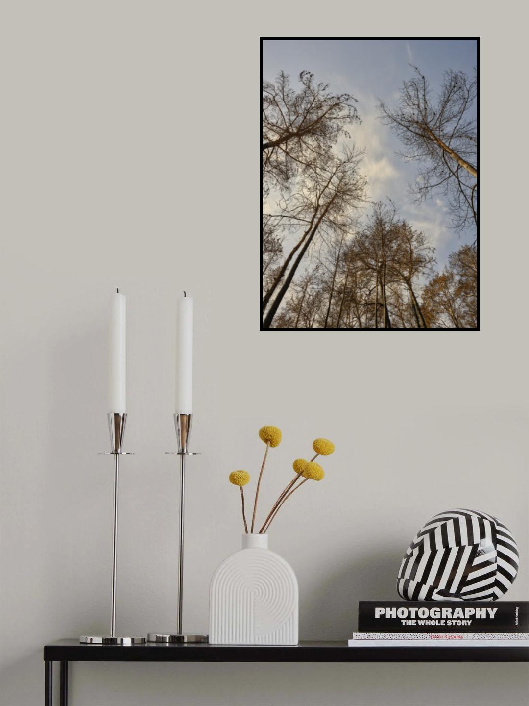 image of a forest after a fire Poster och Canvastavla