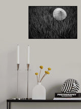 rice fields in bw Poster och Canvastavla