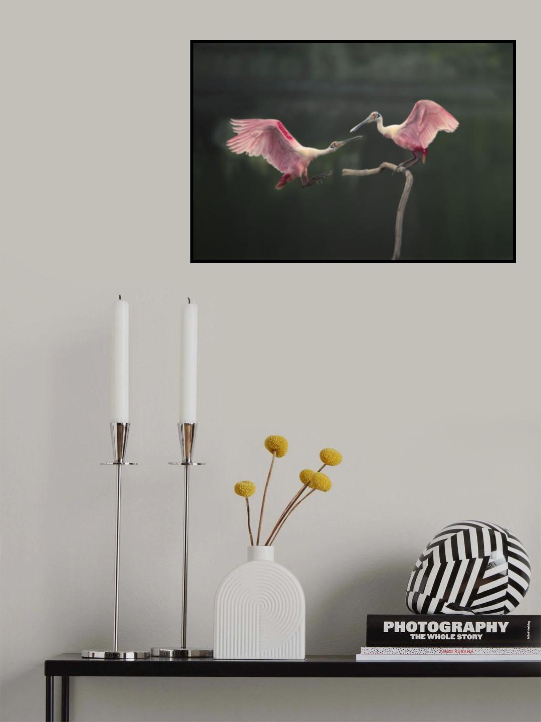Roseate spoonbils Poster och Canvastavla