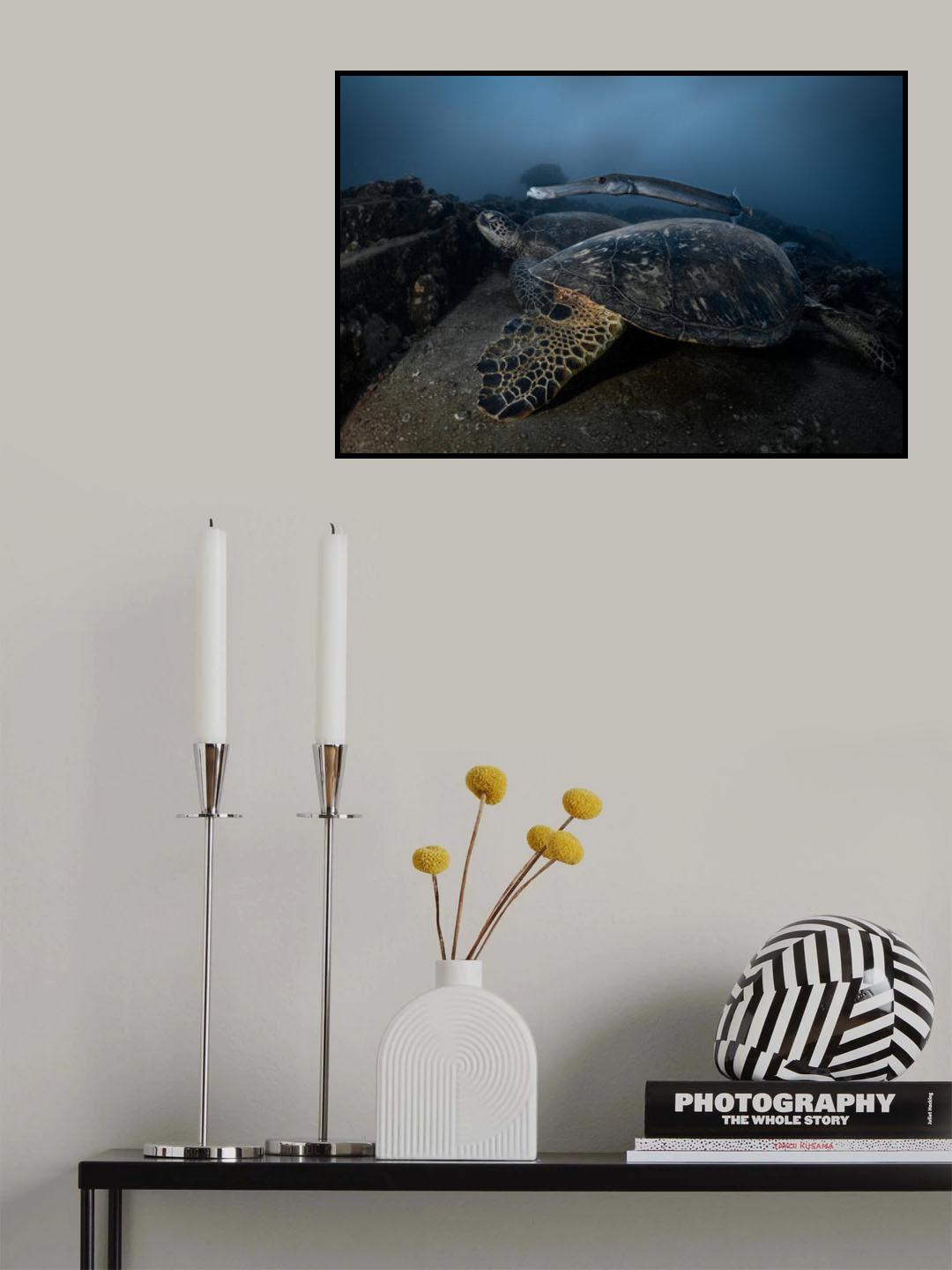 Don't wake up , I am just passing by ... Poster och Canvastavla