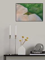 The land of Tuscany Poster och Canvastavla