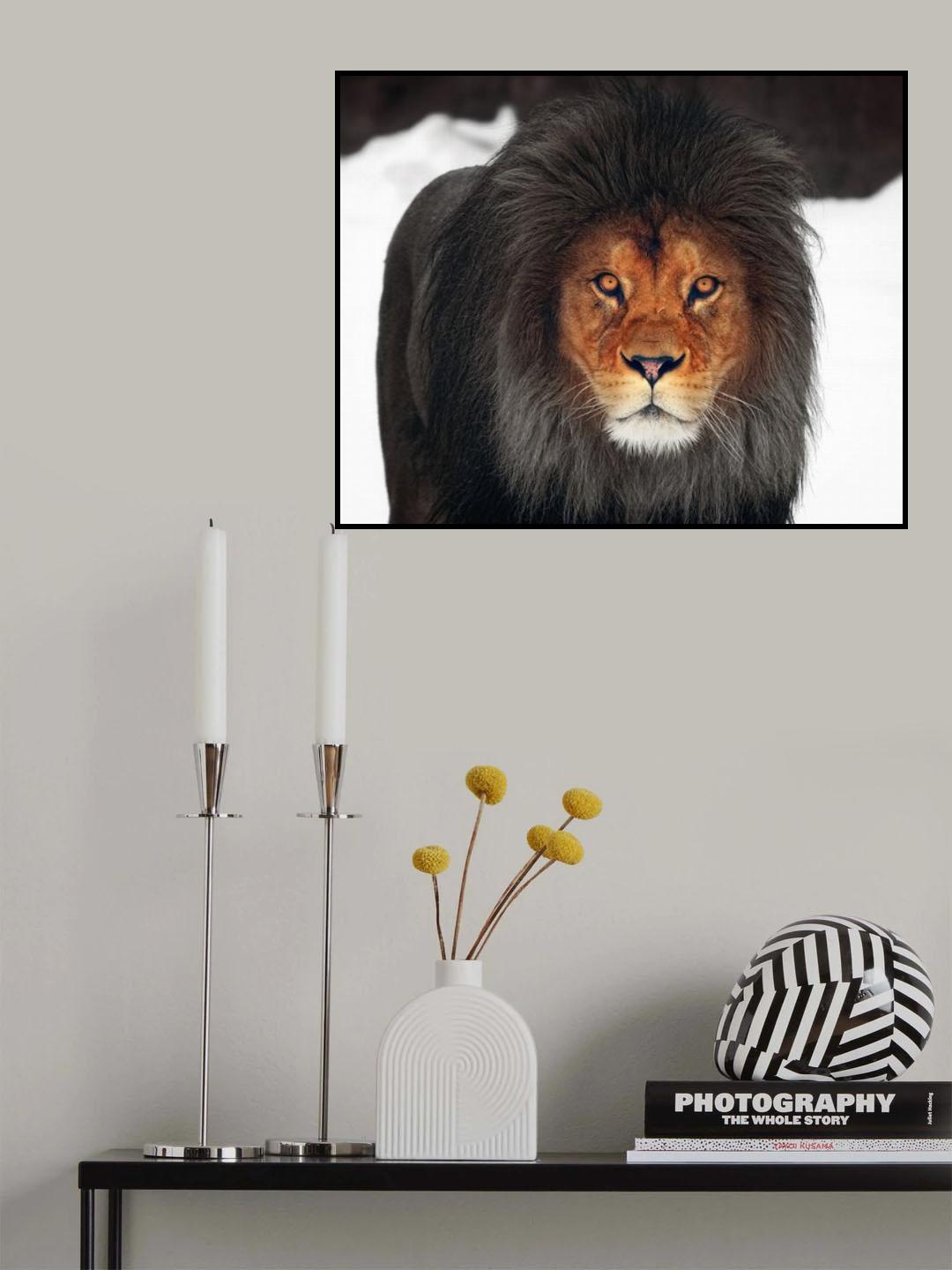 WINTER GLOW .... Poster och Canvastavla