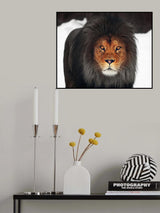 WINTER GLOW .... Poster och Canvastavla