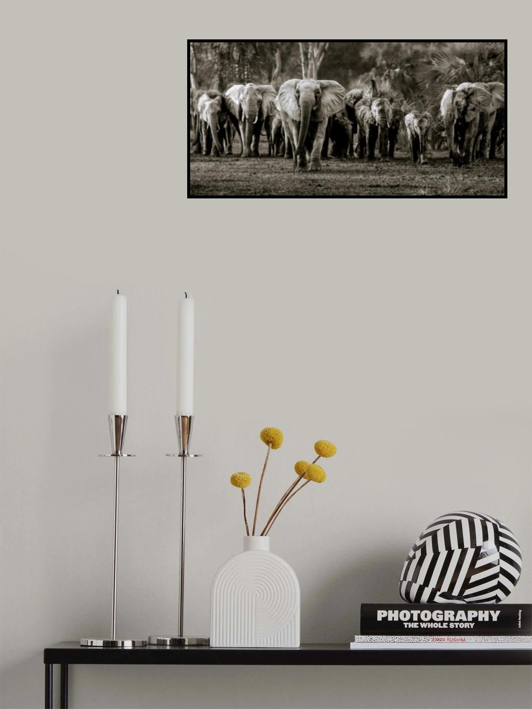 Elephant Herd, Gorongosa NP Poster och Canvastavla