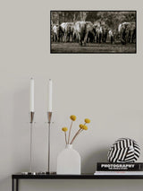 Elephant Herd, Gorongosa NP Poster och Canvastavla