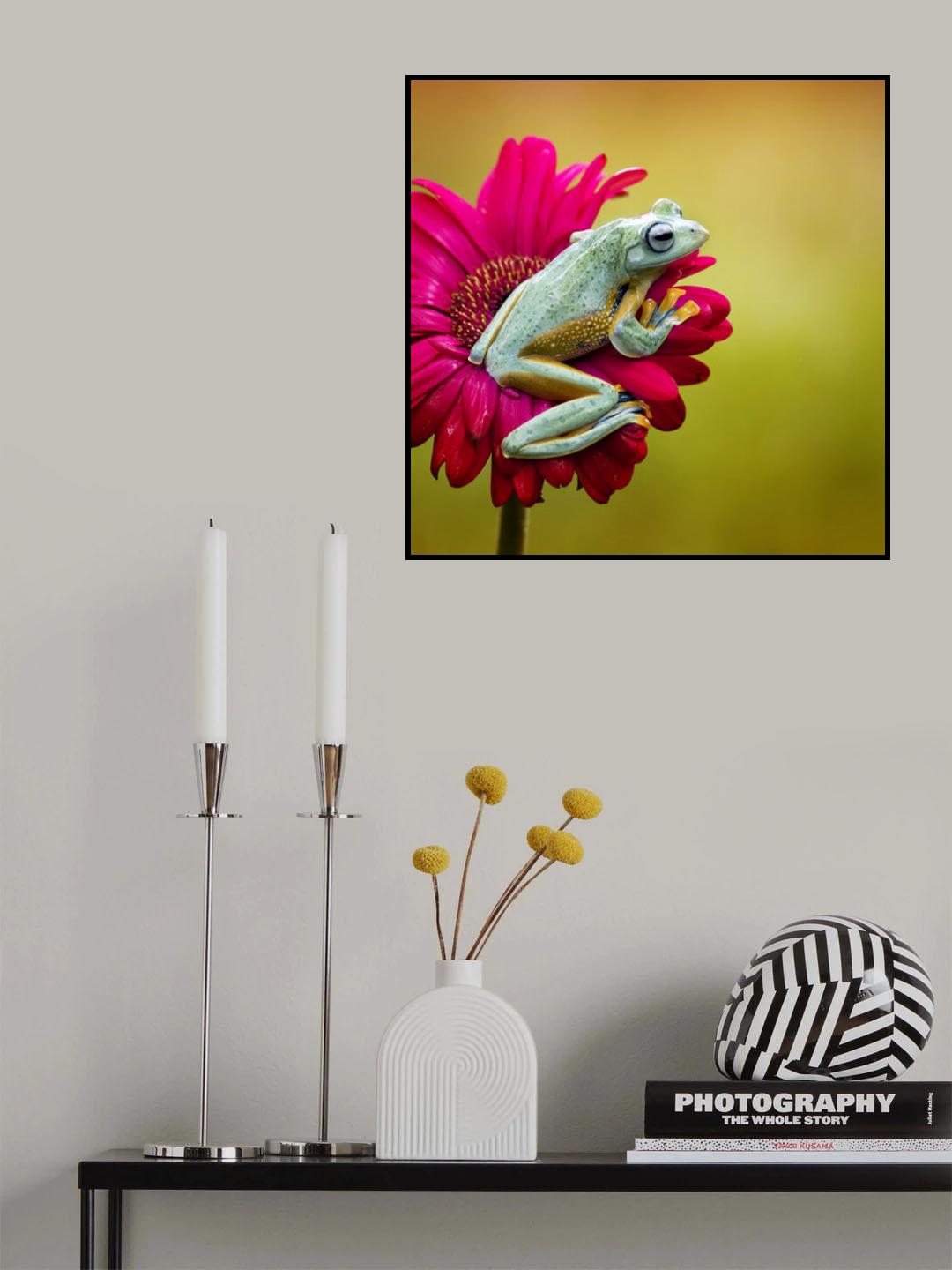 Pretty Frog Poster och Canvastavla