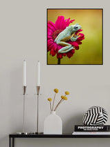 Pretty Frog Poster och Canvastavla