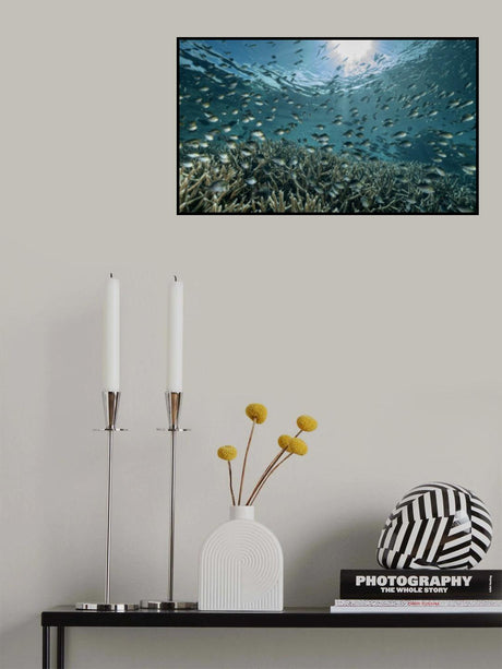 The Reef Poster och Canvastavla