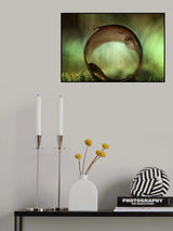 In the circle Poster och Canvastavla