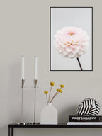 Pink Flower No3 Poster och Canvastavla