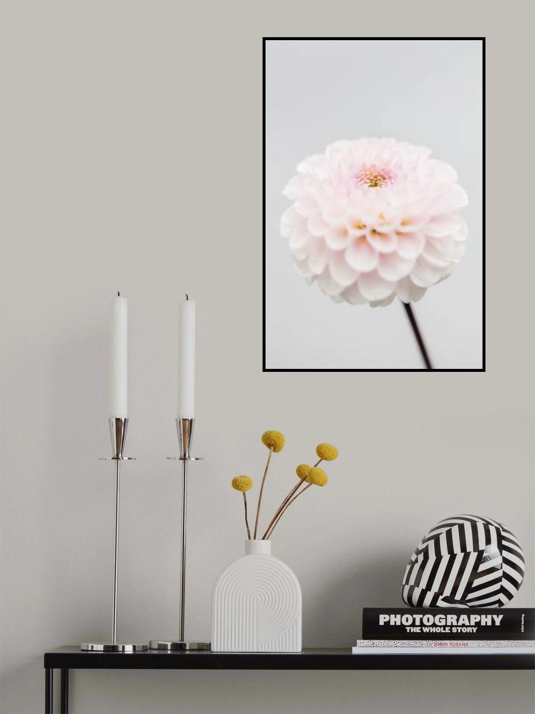 Pink Flower No3 Poster och Canvastavla
