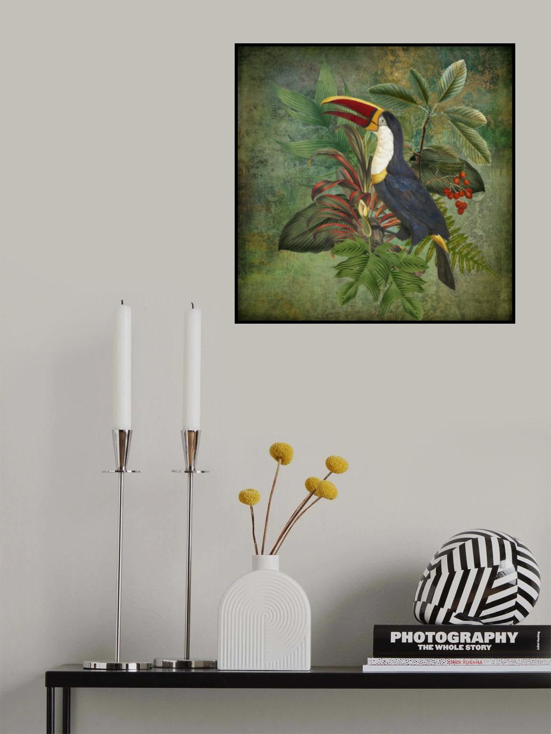 Toucan Poster och Canvastavla