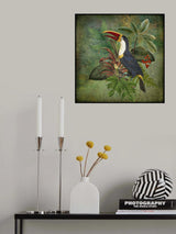 Toucan Poster och Canvastavla