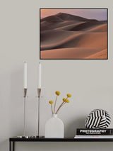 goby desert mongolia Poster och Canvastavla