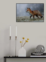 Frosty morning Poster och Canvastavla