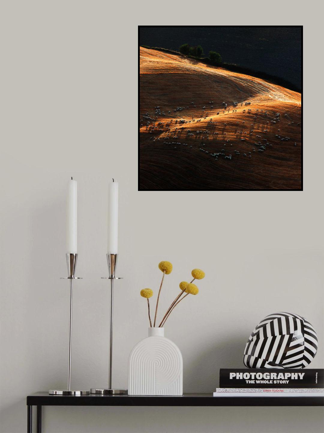 Il gregge 1 Poster och Canvastavla