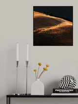 Il gregge 1 Poster och Canvastavla
