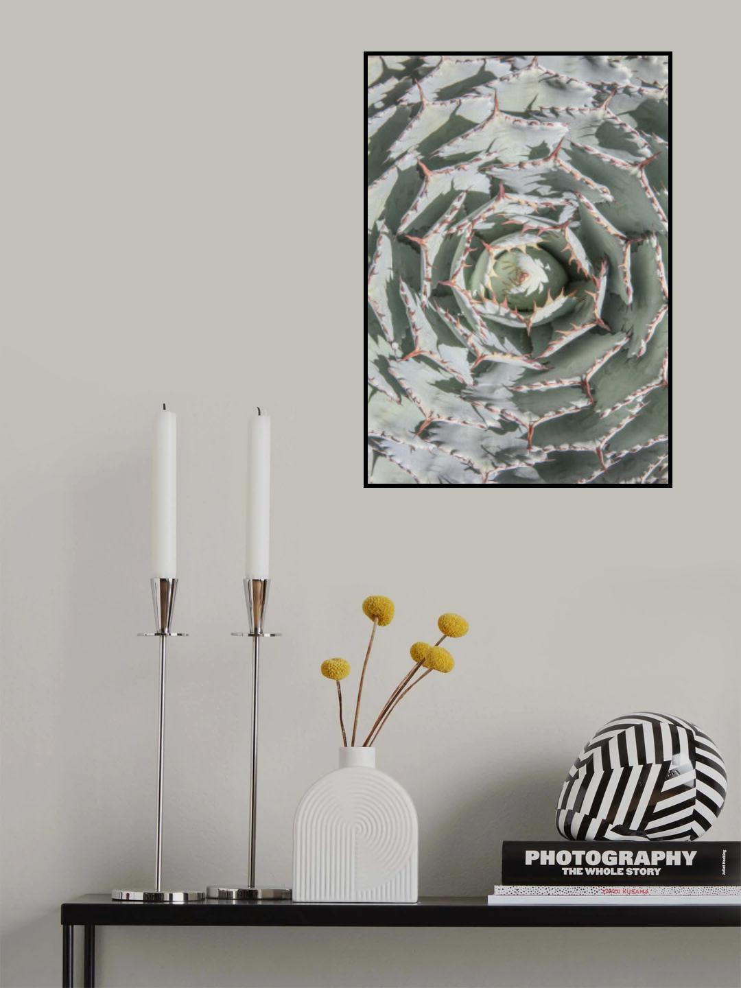 Agave Poster och Canvastavla