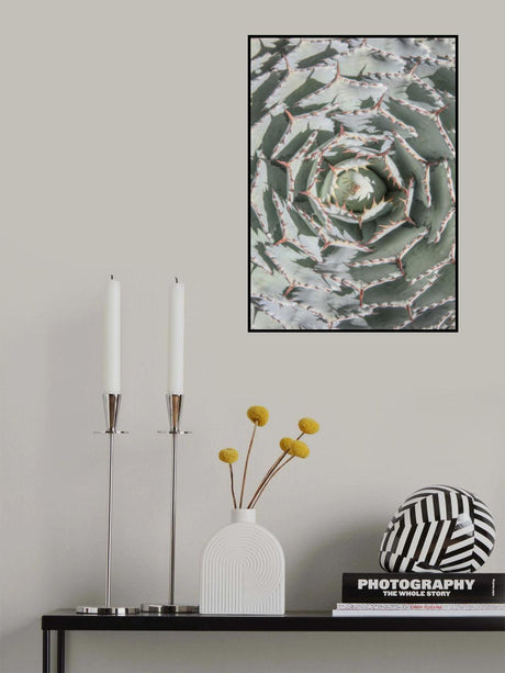 Agave Poster och Canvastavla