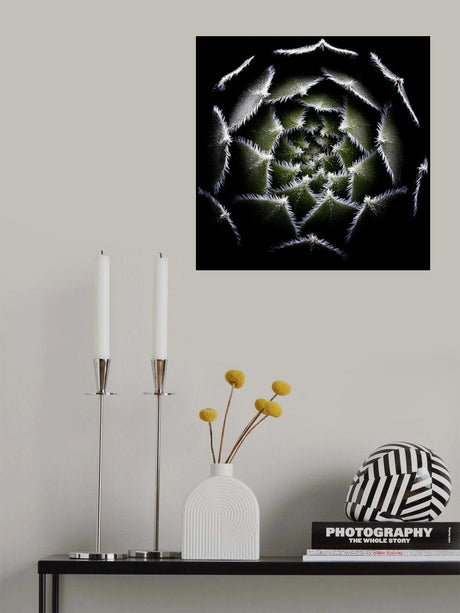 Sempervivum Rosette Poster och Canvastavla
